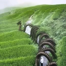云和梯田景区 - 丽水市旅游 缩略图 1