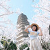 龙龙龙龙龙女