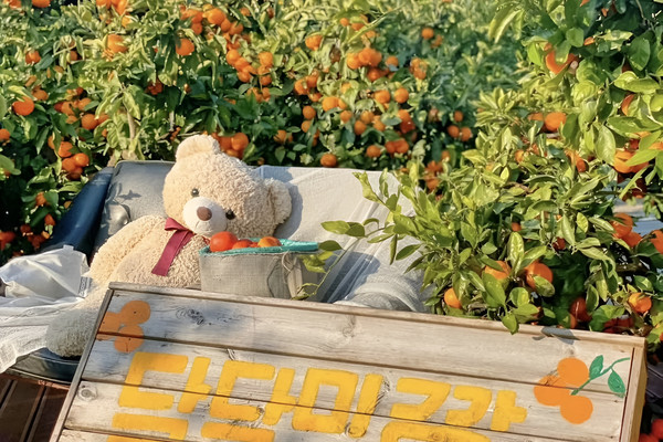 4天3晚·韩国济州自由行