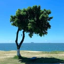 黄厝海滩 - 厦门市旅游 缩略图 2