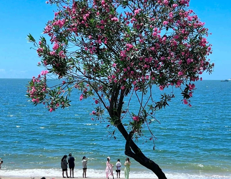 黄厝海滩 - 厦门市旅游 1