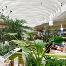 大树餐厅(武商梦时代店) - 武汉市旅游 缩略图 8
