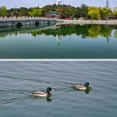 北海公园 - 北京市旅游 缩略图 2
