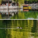 北海公园 - 北京市旅游 缩略图 4