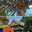 北海公园 - 北京市旅游 缩略图 6