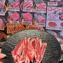 朝阳北路 - 北京市旅游 缩略图 2