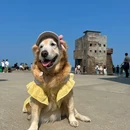 海上古堡 - 汕尾旅游 缩略图 7