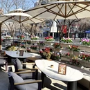 牛排家(北辰新空间店) - 北京市旅游 缩略图 7