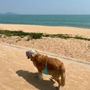 汕尾保利希尔顿逸林酒店 - 汕尾旅游 缩略图 4
