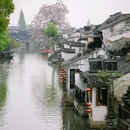 西塘古镇景区 - 嘉兴市旅游 缩略图 8