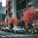 东京 - 日本旅游 缩略图 1