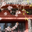 北京园博园 - 北京市旅游 缩略图 1