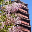 北京园博园 - 北京市旅游 缩略图 2