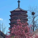 北京园博园 - 北京市旅游 缩略图 7