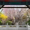 北京园博园 - 北京市旅游 缩略图 9