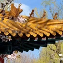 北京园博园 - 北京市旅游 缩略图 6