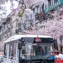 都江堰市步行街 - 成都市旅游 缩略图 3