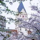 都江堰市步行街 - 成都市旅游 缩略图 6