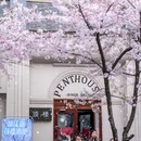 都江堰市步行街 - 成都市旅游 缩略图 8