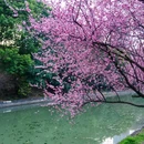 江山大街与黄山路交叉口 - 南京市旅游 缩略图 3