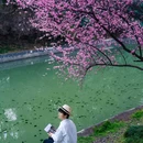 江山大街与黄山路交叉口 - 南京市旅游 缩略图 4