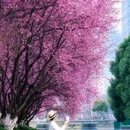 江山大街与黄山路交叉口 - 南京市旅游 缩略图 1