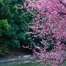 江山大街与黄山路交叉口 - 南京市旅游 缩略图 7