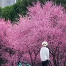 江山大街与黄山路交叉口 - 南京市旅游 缩略图 6