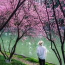 江山大街与黄山路交叉口 - 南京市旅游 缩略图 8
