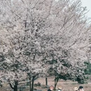 云龟山景区 - 重庆市旅游 缩略图 9