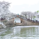 无锡太湖鼋头渚风景区 - 无锡市旅游 缩略图 4