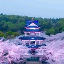 无锡太湖鼋头渚风景区 - 无锡市旅游 缩略图 6