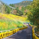 城山沟景区 - 湖州市旅游 缩略图 5