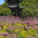 城山沟景区 - 湖州市旅游 缩略图 4
