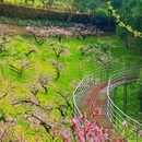 城山沟景区 - 湖州市旅游 缩略图 2