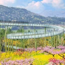 城山沟景区 - 湖州市旅游 缩略图 7