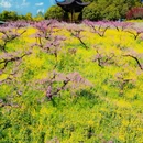 城山沟景区 - 湖州市旅游 缩略图 8