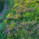 城山沟景区 - 湖州市旅游 缩略图 6