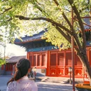 智化寺 - 北京市旅游 缩略图 1