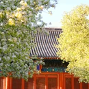 智化寺 - 北京市旅游 缩略图 7