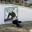 溧阳凤凰公园 - 常州市旅游 缩略图 5