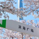 滨海广场 - 天津市旅游 缩略图 3