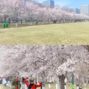 滨海广场 - 天津市旅游 缩略图 4