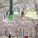 滨海广场 - 天津市旅游 缩略图 5