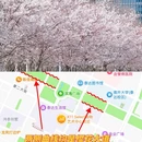 滨海广场 - 天津市旅游 缩略图 9