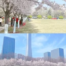 滨海广场 - 天津市旅游 缩略图 7