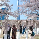 滨海广场 - 天津市旅游 缩略图 8