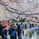 玉渊潭公园 - 北京市旅游 缩略图 6