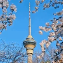 玉渊潭公园 - 北京市旅游 缩略图 7