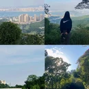 黄山鲁森林公园 - 广州市旅游 缩略图 1